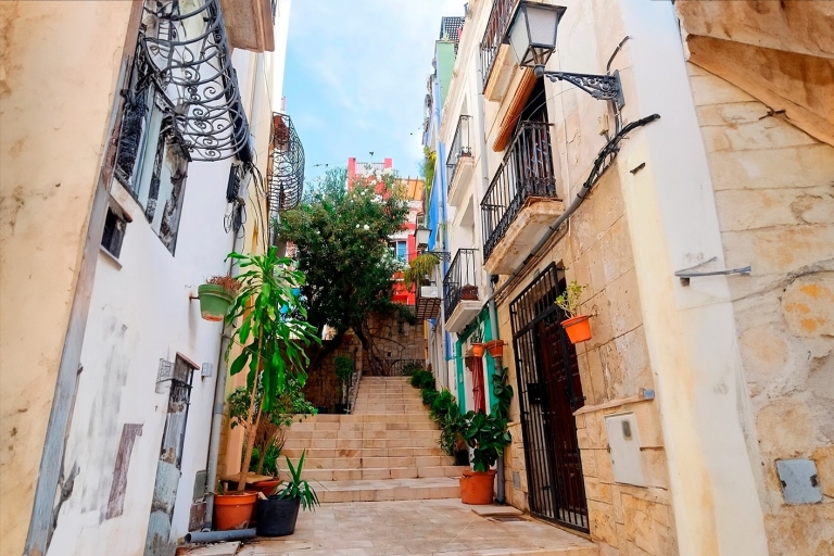 Alicante: wandeltocht door de oude stad en paellashow