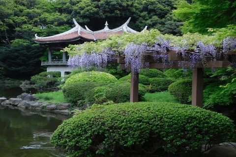 Tokyo: Private 1-Day Tour with English-Driver, Customizable