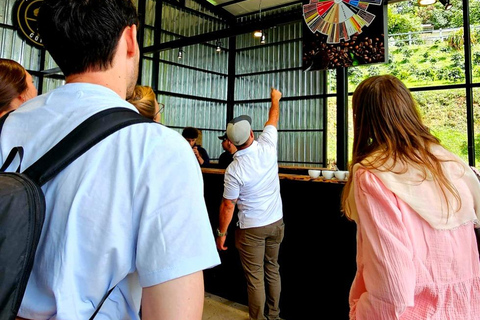 Boquete: Geisha Coffee Plantation Tour with Tasting