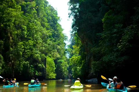 Ko Lanta: Mangrove Forest Kayak & Wildlife Adventure