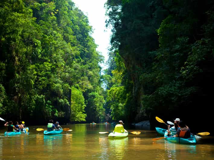 Ko Lanta: Aventura en Kayak por el Bosque de Manglares y Vida Salvaje