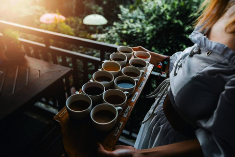 Bali: Ubud Rice Terraces & Waterfall Tour by Bali Bagus