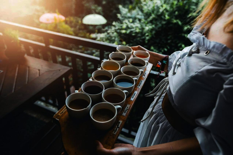 Bali: Ubud Rice Terraces & Waterfall Tour by Bali Bagus