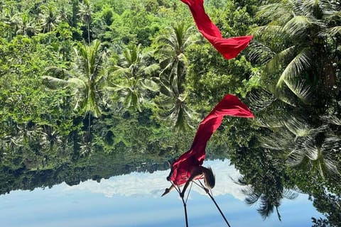 Bali: Ubud Swing Heaven tour with pickup by private car