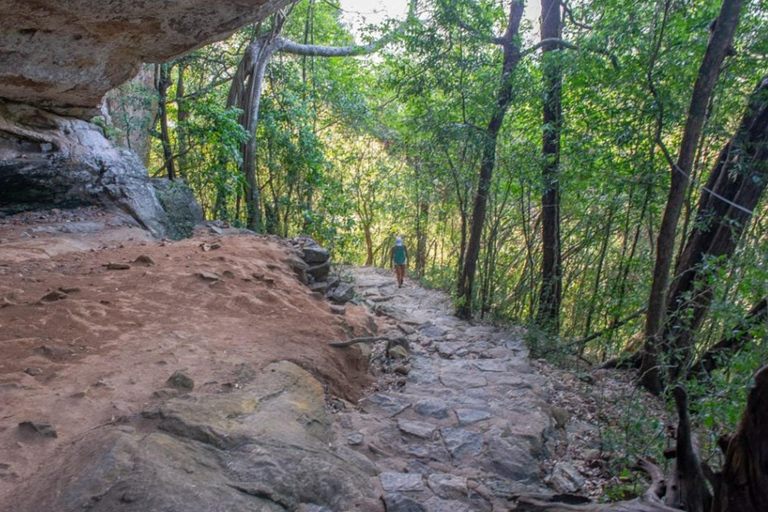 Da Colombo: Escursione di un giorno a Dambulla e alla scalata della roccia di Pidurangala