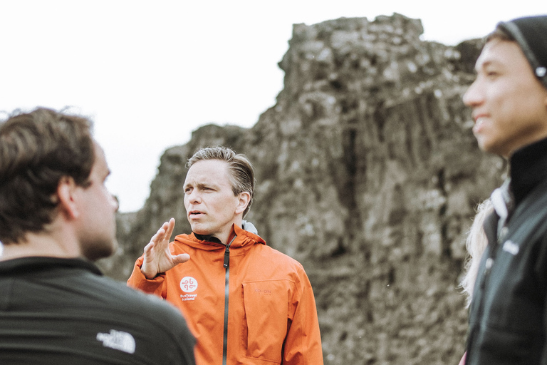 Walvisspotten en Golden Circle-tour van een hele dag vanuit Reykjavik