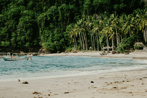 Tour di Nusa Penida : Escursione di un giorno da Bali - Trasferimento in hotel