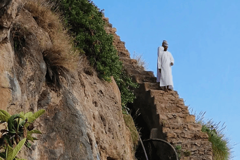 Muscat: Nizwa & Jabal Akhdar Day Trip with Fort & Souq pick up