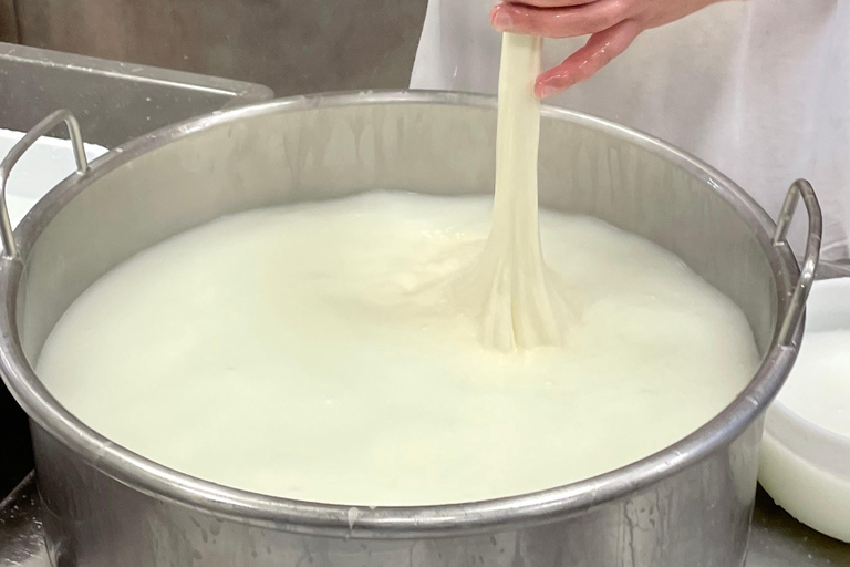 Pisa: Kaas maken en proeven met een kleine groep