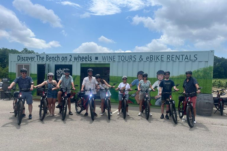 Niagara Benchlands: Ebike Tour with Wine Tastings