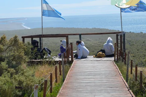 Peninsula Valdes: Shore excursion for cruise passengers