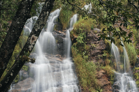 From São Paulo: 5-Day Serra da Canastra Wildlife Safari