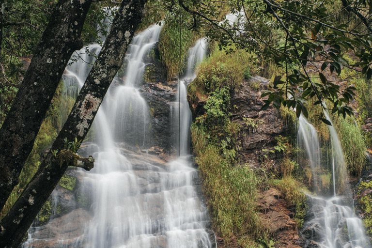 From São Paulo: 5-Day Serra da Canastra Wildlife Safari