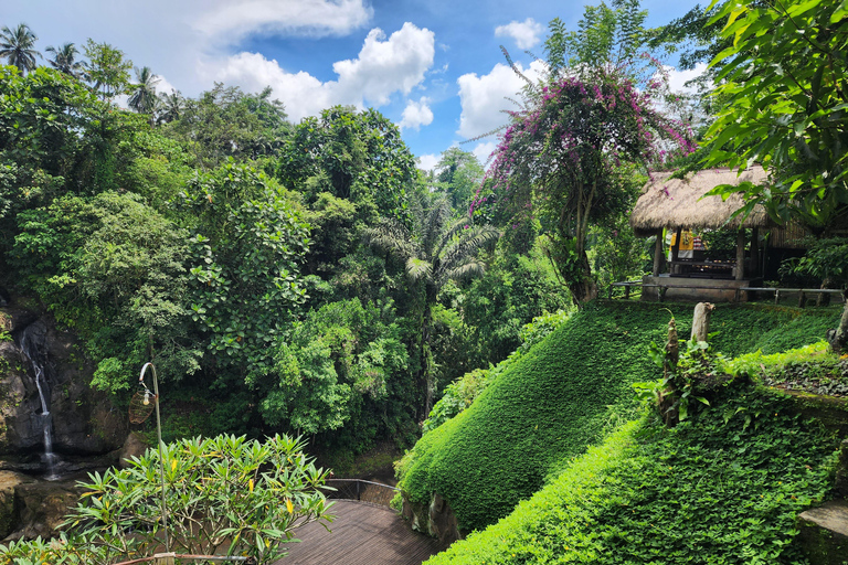 Ubud: Hidden Waterfalls, Rice terrace & Cliffside Dining