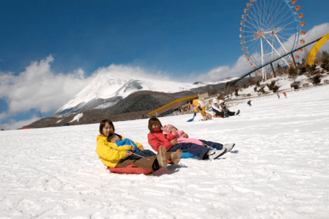 Tokyo: Mount Fuji, Gotemba Outlet, and Hakone Day Trip