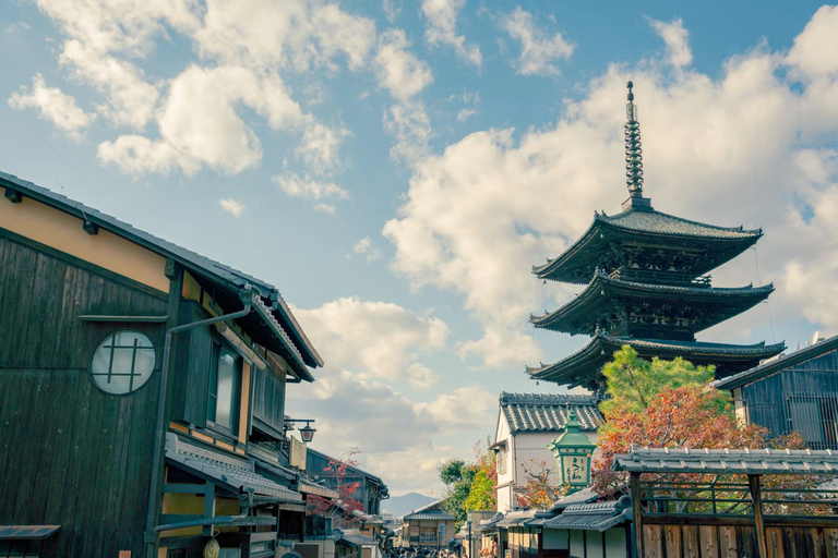 Tokyo: 8-Day Tour with Fuji, Kyoto, Nara, Hiroshima & Osaka Day 8 - Osaka Highlights (Spanish)