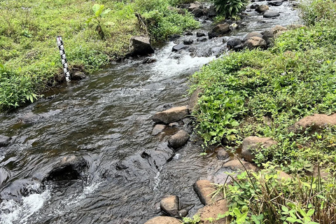 Materuni Waterfalls and Coffee Day Tour
