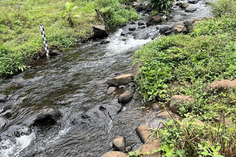 Materuni Waterfalls and Coffee Day Tour