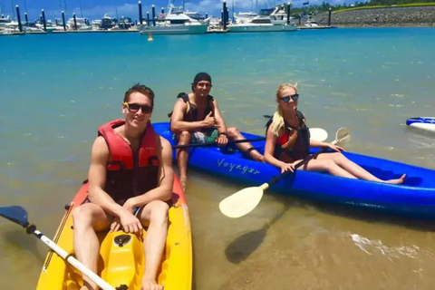 Airlie Beach: alquiler de kayak de 1,5 horas con salida desde Shingley Beach