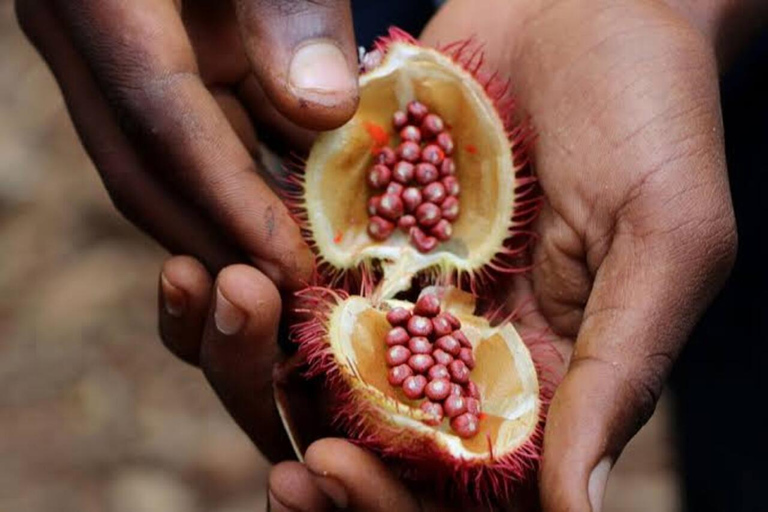 Zanzibar: Spice farm tour with local guide Zanzibar: Spice Farm Tour with Stone Town Pick-Up”