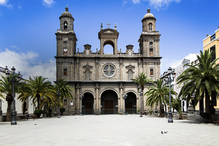 Excursion to Las Palmas: History and Culture From Maspalomas: Las Palmas in Italian and French