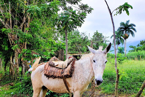 Puerto Plata trektocht - Natuur- en folkloristische ervaring