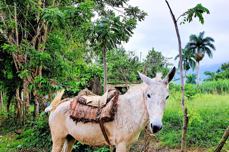 Trekking à Puerto Plata - Expérience de la nature et du folklore