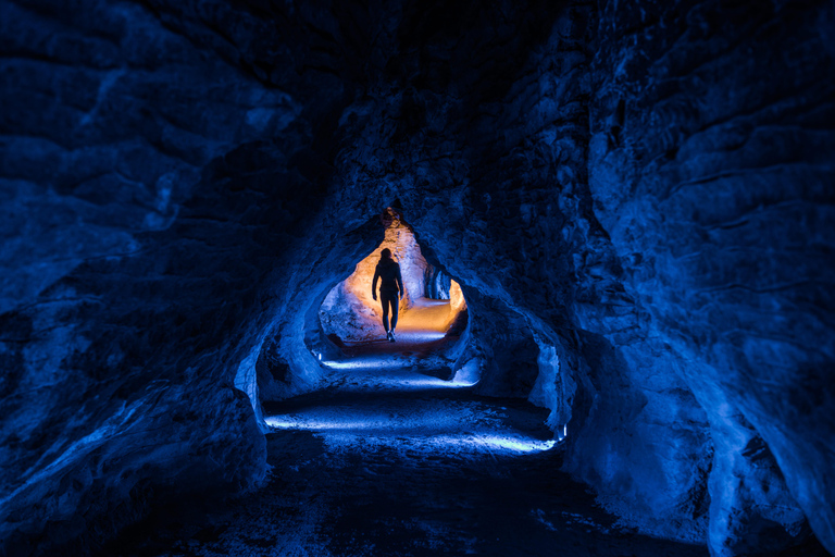 Von Auckland aus: Waitomo Glühwürmchen und Ruakuri Höhlen Tagestour