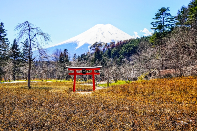 Excursión de 1 día en autobús por el monte Fuji y Hakone con ida y vuelta en tren balaExcursión con almuerzo desde Matsuya Ginza