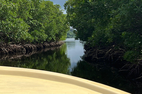 Petit Bourg: All-Inclusive Boat Excursion + Meal by the Water Petit Bourg: All-Inclusive Day Trip by Boat + Meal on the Waterfront