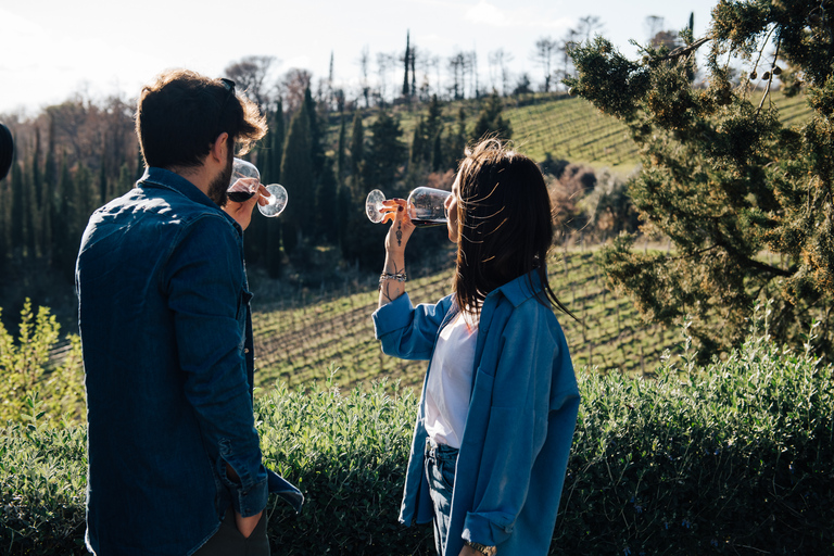 Von Florenz aus: Chianti-Hügel Halbtagestour mit WeinverkostungWeinkeller-Tour auf Englisch