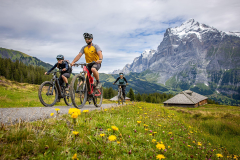 Interlaken: Lauterbrunnen Valley Guided E-Bike Tour + video