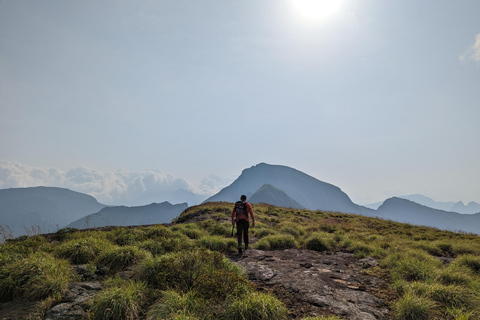 Da Kandy: escursione alle cime gemelle di Kanawiddagala e YahangalaDa Kandy: escursione alle due cime gemelle di Kanawiddagala e Yahangala