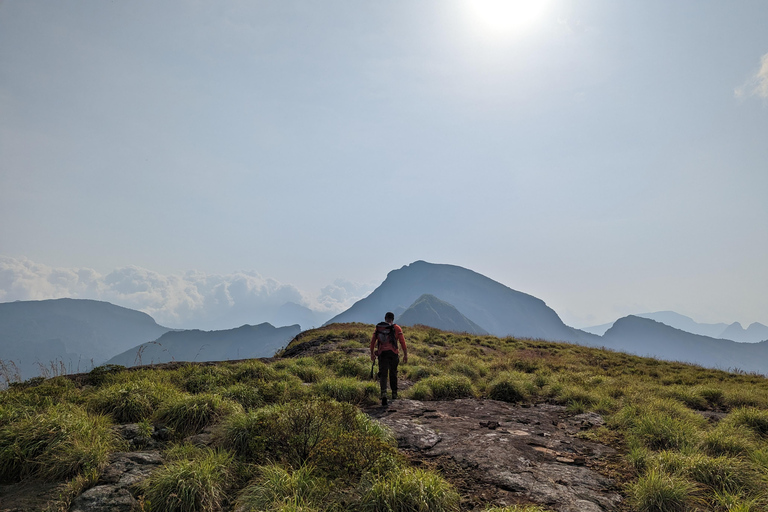 Da Kandy: escursione alle cime gemelle di Kanawiddagala e YahangalaDa Kandy: escursione alle due cime gemelle di Kanawiddagala e Yahangala