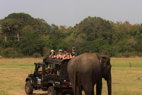 Hurulu Eco Park Jeep Safari & Entrance Ticket Included Without Ticket