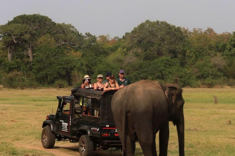 Hurulu Eco Park Jeep Safari & Entrance Ticket Included Without Ticket