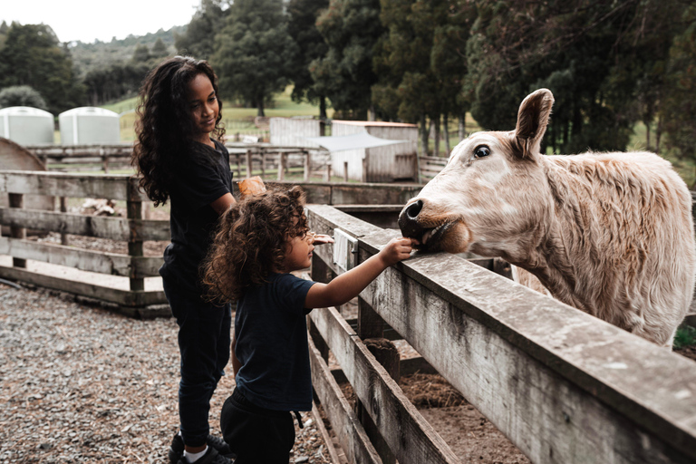 Sheep Shearing & Auckland City Highlights Tour with Lunch