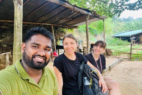 Depuis Colombo : Excursion d&#039;une journée à Kandy et Pinnawala avec déjeuner