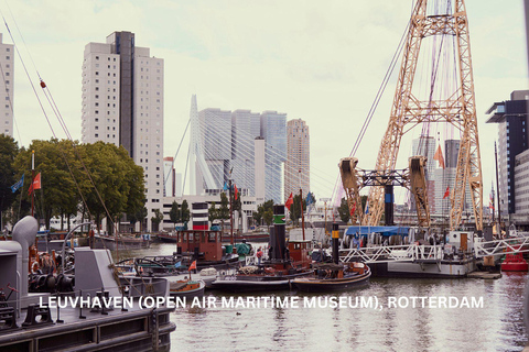 Rotterdam och Kinderdijk Daglig promenad- och båttur