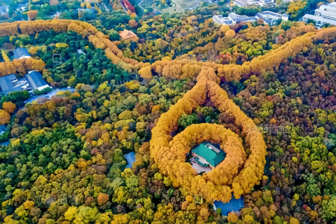 From Shanghai: Nanjing Private Day Trip by High-Speed Rail