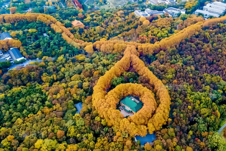 From Shanghai: Nanjing Private Day Trip by High-Speed Rail