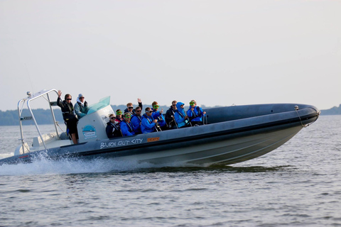 Helsinki: Private RIB Boat Cruise with Snacks and Drinks