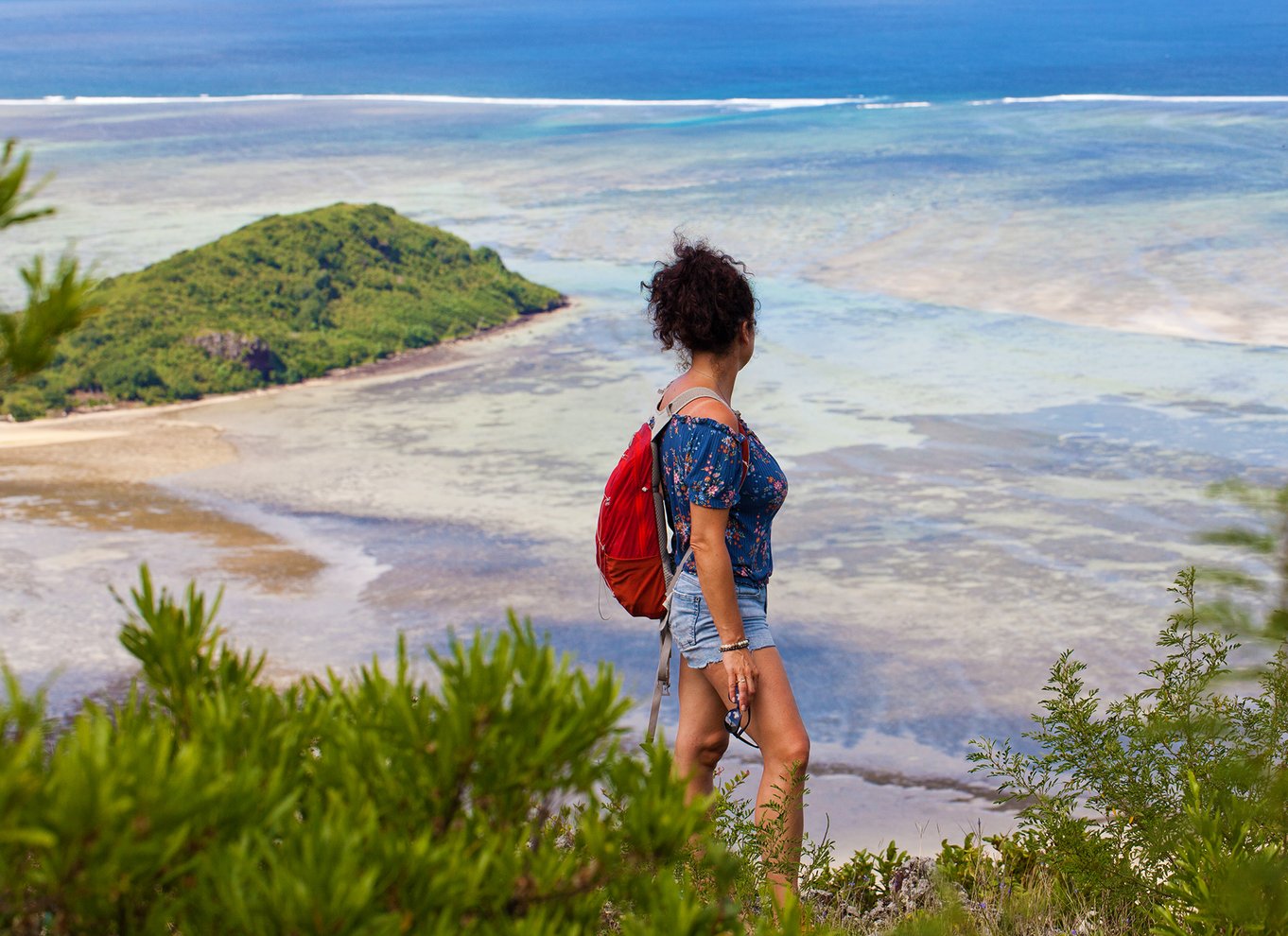 Le Morne: Bjergvandring med lokale guider