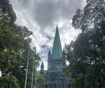 Trondheim: 2-hour City Walking Tour