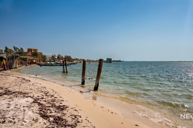Guided tour to discover the Serer community on Mar Lodj Island