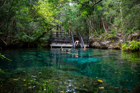 Nada en los Cenotes Ojos IndígenasViaje ecológico a Los Ojos