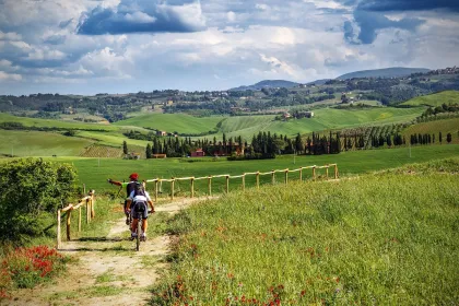 Von San Gimignano aus: Chianti mit dem E-Bike und Weinverkostung