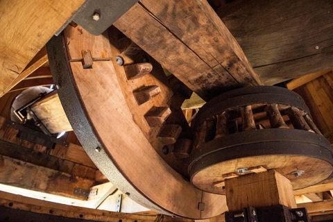 Lavacchio Farm: The Windmill with a tasting of our organic oil Fattoria Lavacchio: The Windmill with a tasting of our organic oil