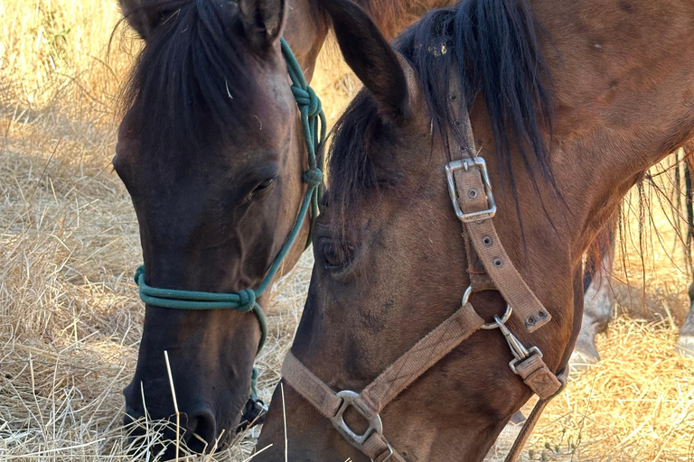 2-Day Gjirokastra & Durres: Horse Riding & Culture Tour Trip