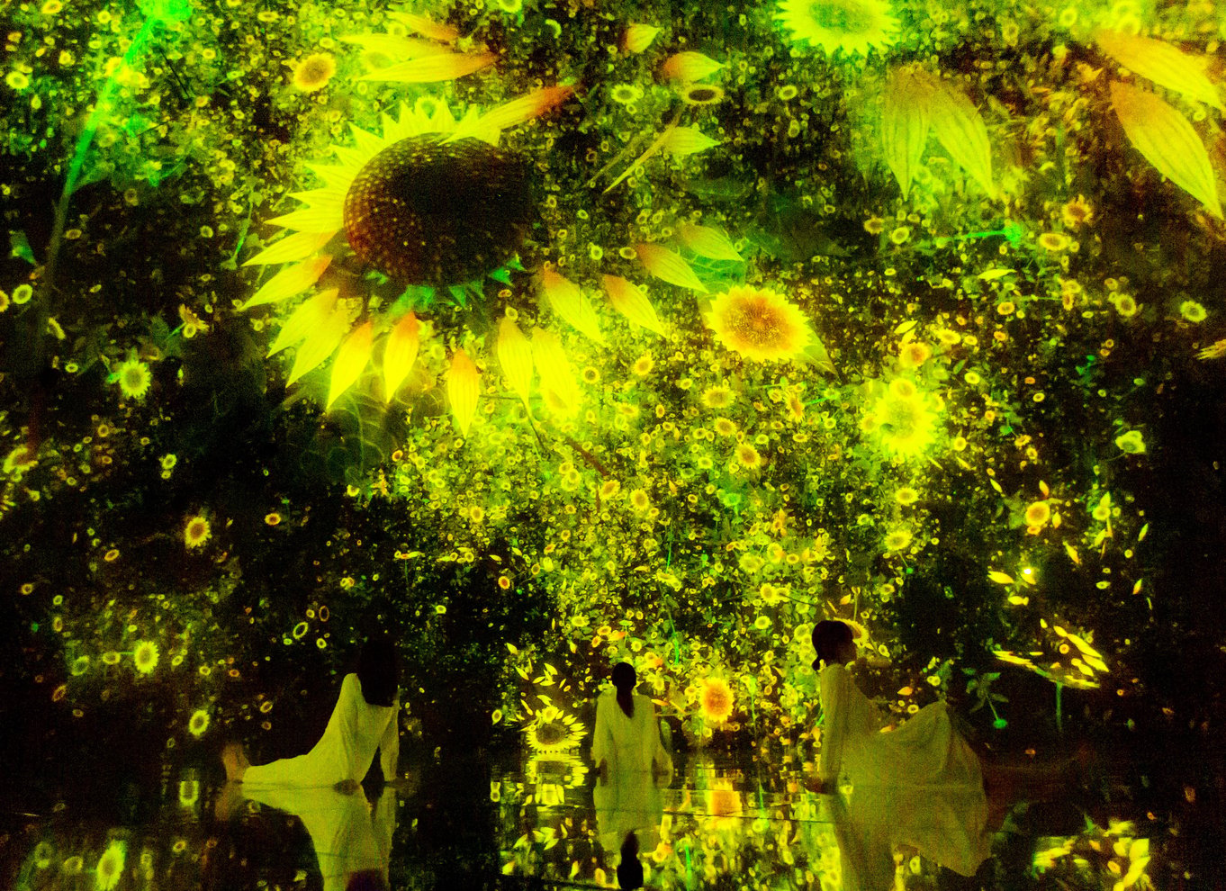 Tokyo: teamLab Planets TOKYO Digital Art Museum entrébillet